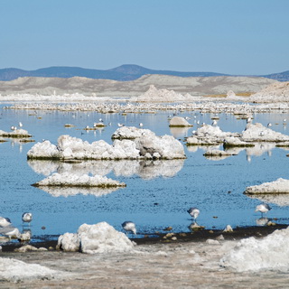 Mono Lake